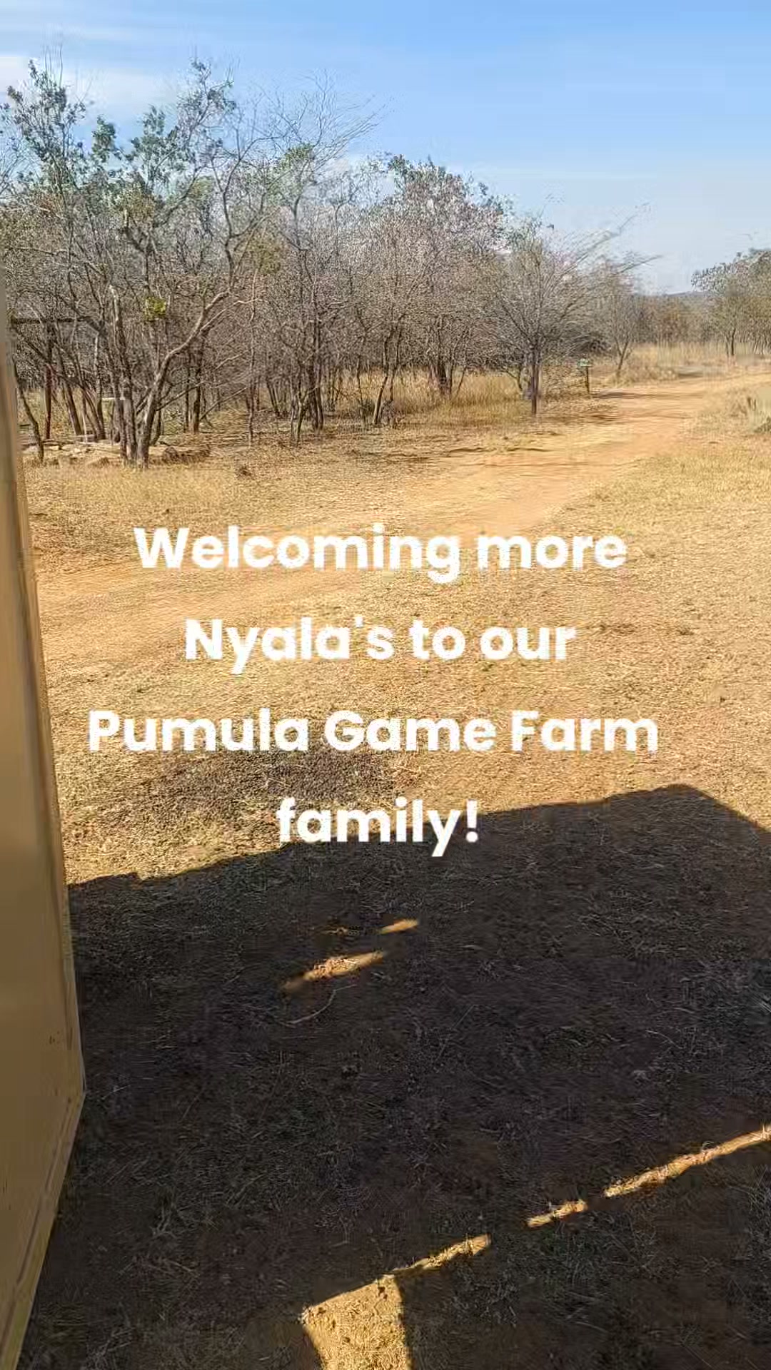 Pumula Game Farm