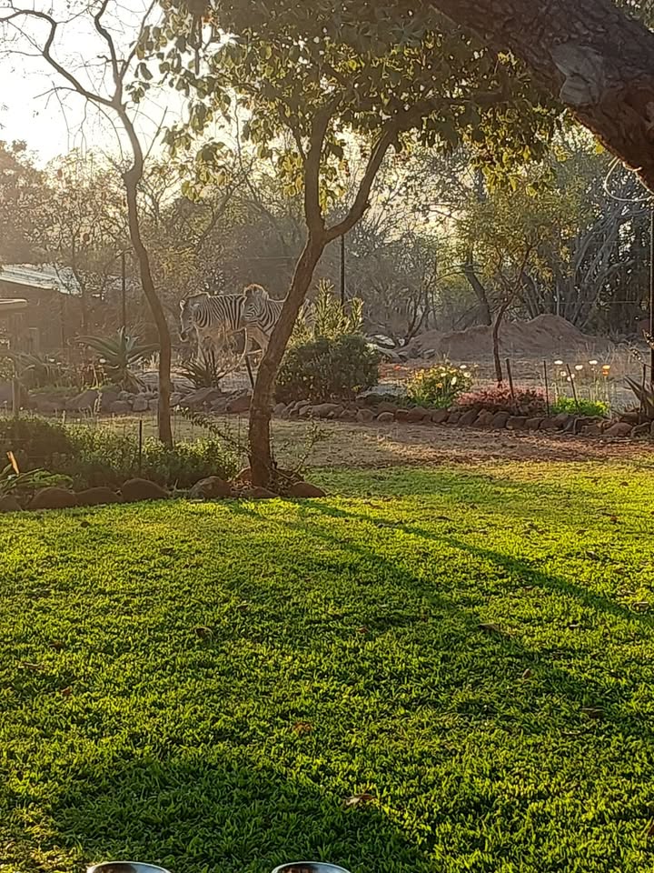Pumula Game Farm
